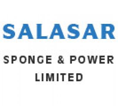 Director, Salasar Sponge & Power Limited